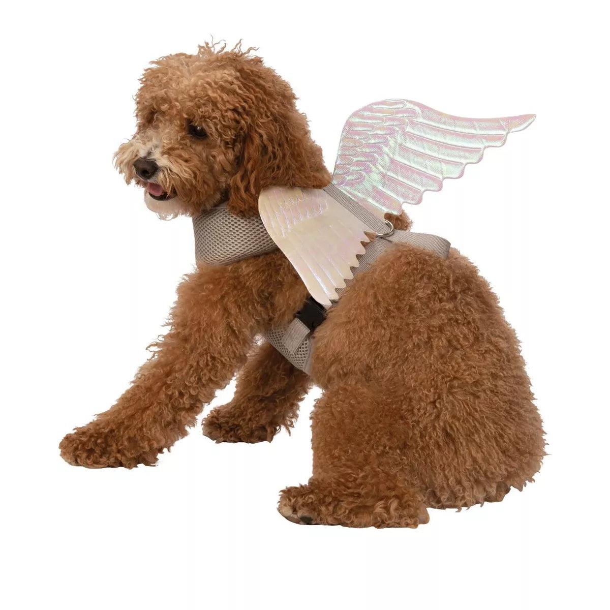 Angel Wings Pet Harness